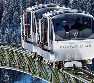 Фото Tsсhuggen Grand Hotel (Швейцария, Ароза) 9