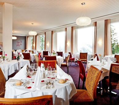 Фото Excelsior Arosa (Швейцария, Ароза) 33