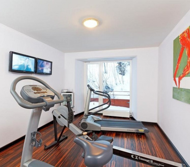 Фото Excelsior Arosa (Швейцария, Ароза) 28