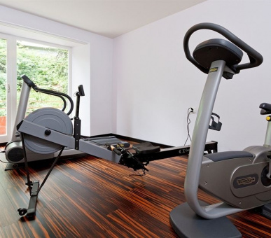 Фото Excelsior Arosa (Швейцария, Ароза) 27