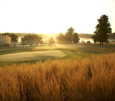 Фото The Grove 36