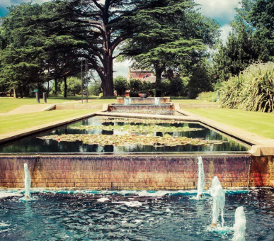 Фото The Grove 5