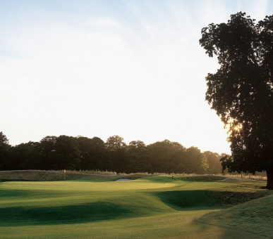 Фото The Grove 37