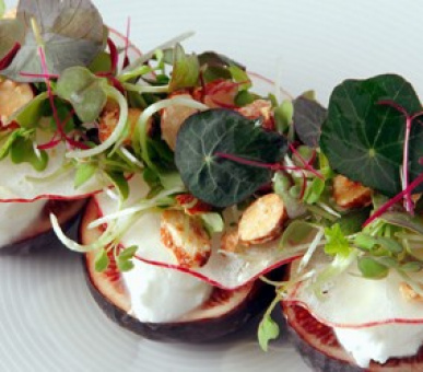 Картинка Lilianfels Blue Mountains Resort & Spa (Австралия, Голубые горы) 10 Фото Lilianfels Blue Mountains Resort & Spa (Австралия, Голубые горы) 10