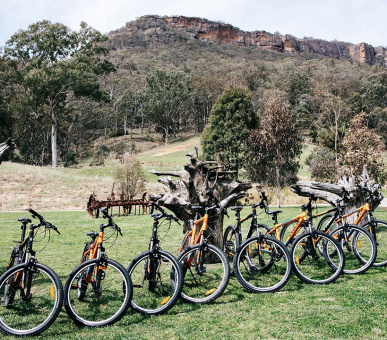 Фото Emirates One 22