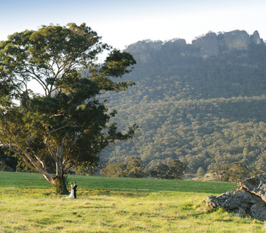 Фото Emirates One 80