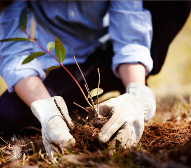 Фото Emirates One 48