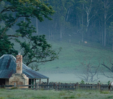 Фото Emirates One 53