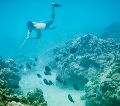 Картинка Four Seasons Resort O‘ahu at Ko Olina 13 Фото Four Seasons Resort O‘ahu at Ko Olina 13