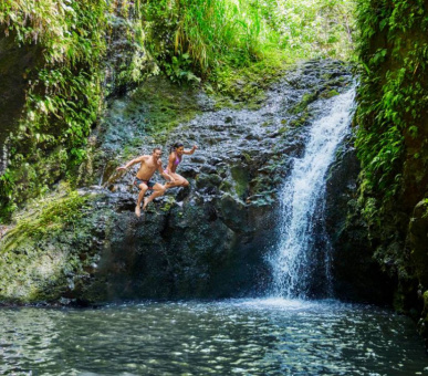 Картинка Four Seasons Resort O‘ahu at Ko Olina 23 Фото Four Seasons Resort O‘ahu at Ko Olina 23
