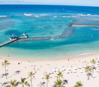 Картинка Four Seasons Resort O‘ahu at Ko Olina 24 Фото Four Seasons Resort O‘ahu at Ko Olina 24