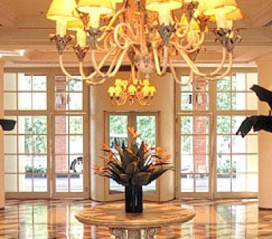 Картинка 8 Фото 8