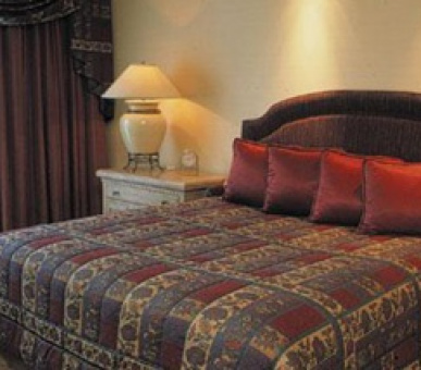 Картинка 7 Фото 7