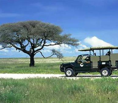 Картинка 12 Фото 12