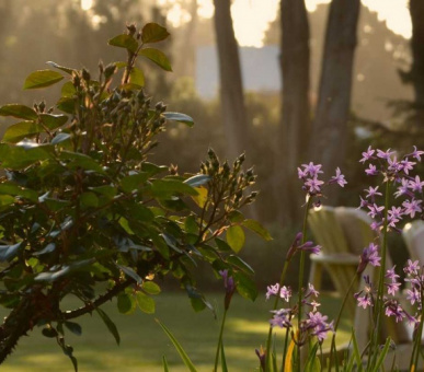 Картинка Hotel L' Auberge (Уругвай, Пунта дель Эста) 13 Фото Hotel L' Auberge (Уругвай, Пунта дель Эста) 13