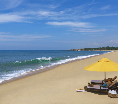 Картинка 12 Фото 12