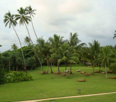 Картинка Vivanta by Taj - Bentota (Шри Ланка, Юго-Западное побережье) 23 Фото Vivanta by Taj - Bentota (Шри Ланка, Юго-Западное побережье) 23