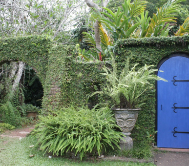 Картинка Vivanta by Taj - Bentota (Шри Ланка, Юго-Западное побережье) 24 Фото Vivanta by Taj - Bentota (Шри Ланка, Юго-Западное побережье) 24