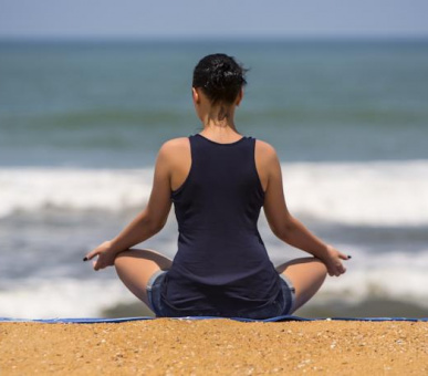 Картинка Royal Palms Beach Hotel (Шри Ланка, Юго-Западное побережье) 15 Фото Royal Palms Beach Hotel (Шри Ланка, Юго-Западное побережье) 15