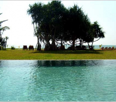 Фото Temple Tree Resort  6