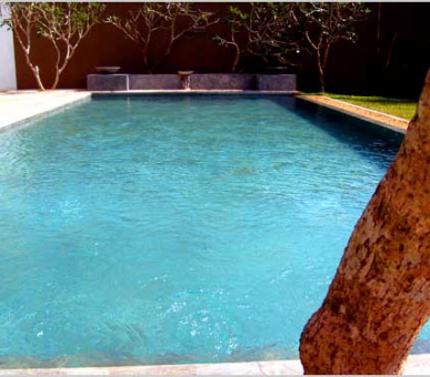 Фото Temple Tree Resort  5