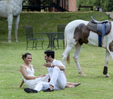 Картинка Elephant Corridor (Шри Ланка, Cигирия) 35 Фото Elephant Corridor (Шри Ланка, Cигирия) 35