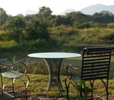 Картинка Elephant Corridor (Шри Ланка, Cигирия) 3 Фото Elephant Corridor (Шри Ланка, Cигирия) 3