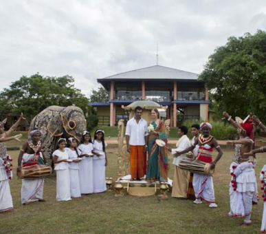 Картинка Elephant Corridor (Шри Ланка, Cигирия) 30 Фото Elephant Corridor (Шри Ланка, Cигирия) 30