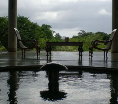 Картинка Elephant Corridor (Шри Ланка, Cигирия) 5 Фото Elephant Corridor (Шри Ланка, Cигирия) 5