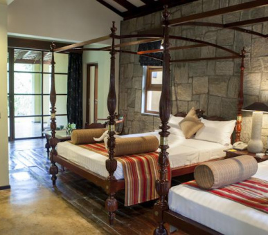 Картинка Elephant Corridor (Шри Ланка, Cигирия) 15 Фото Elephant Corridor (Шри Ланка, Cигирия) 15