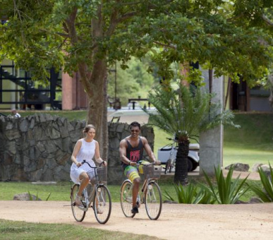 Картинка Elephant Corridor (Шри Ланка, Cигирия) 36 Фото Elephant Corridor (Шри Ланка, Cигирия) 36