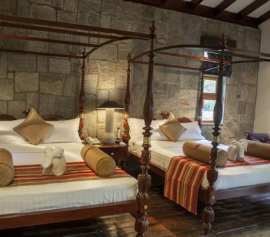 Картинка Elephant Corridor (Шри Ланка, Cигирия) 17 Фото Elephant Corridor (Шри Ланка, Cигирия) 17