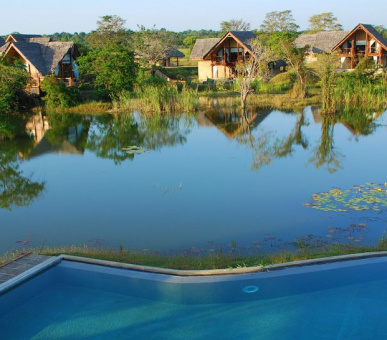 Фото Jetwing Vil Uyana (Шри Ланка, Cигирия) 2