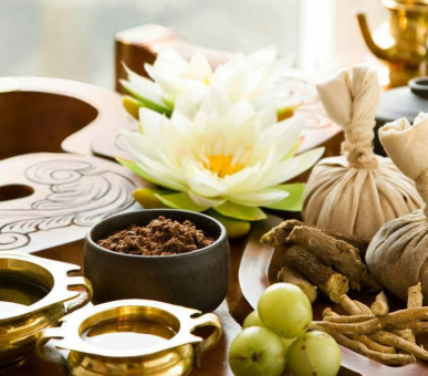 Фото Four Seasons Hotel Mumbai (Индия, Мумбай (Бомбей)) 11