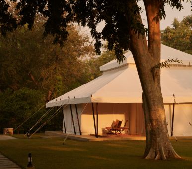 Картинка Aman-i-Khas (Индия, Раджастан) 1 Фото Aman-i-Khas (Индия, Раджастан) 1