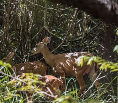 Картинка 28 Фото 28