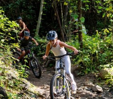 Картинка 27 Фото 27