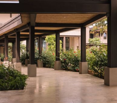 Картинка 25 Фото 25