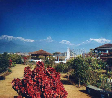 Картинка 16 Фото 16