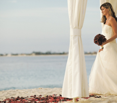 Картинка The Ritz-Carlton Grand Cayman (, Каймановы острова) 8 Фото The Ritz-Carlton Grand Cayman (, Каймановы острова) 8