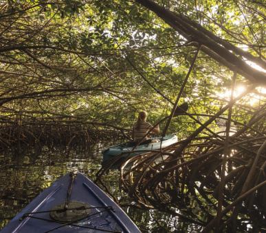 Картинка The Ritz-Carlton Grand Cayman (, Каймановы острова) 47 Фото The Ritz-Carlton Grand Cayman (, Каймановы острова) 47