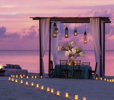 Картинка The Ritz-Carlton Grand Cayman (, Каймановы острова) 39 Фото The Ritz-Carlton Grand Cayman (, Каймановы острова) 39