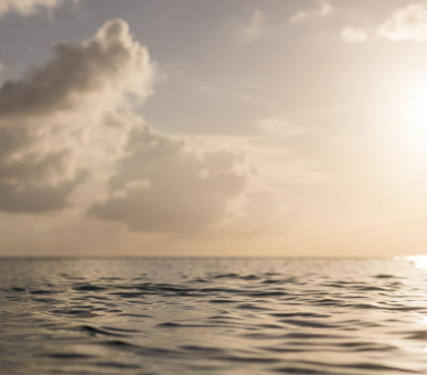 Картинка The Ritz-Carlton Grand Cayman (, Каймановы острова) 54 Фото The Ritz-Carlton Grand Cayman (, Каймановы острова) 54