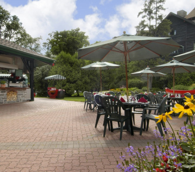 Картинка 17 Фото 17