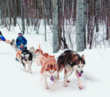 Картинка Fairmont Le Manoir Richelieu (Канада, Горы Лаврентия, штат Квебек) 32 Фото Fairmont Le Manoir Richelieu (Канада, Горы Лаврентия, штат Квебек) 32