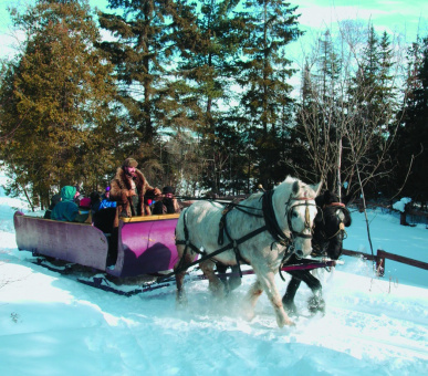 Картинка Fairmont Le Manoir Richelieu (Канада, Горы Лаврентия, штат Квебек) 30 Фото Fairmont Le Manoir Richelieu (Канада, Горы Лаврентия, штат Квебек) 30