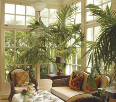 Картинка 18 Фото 18