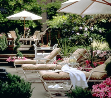 Картинка 9 Фото 9