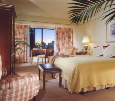 Картинка 6 Фото 6