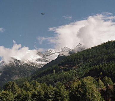 Картинка 10 Фото 10